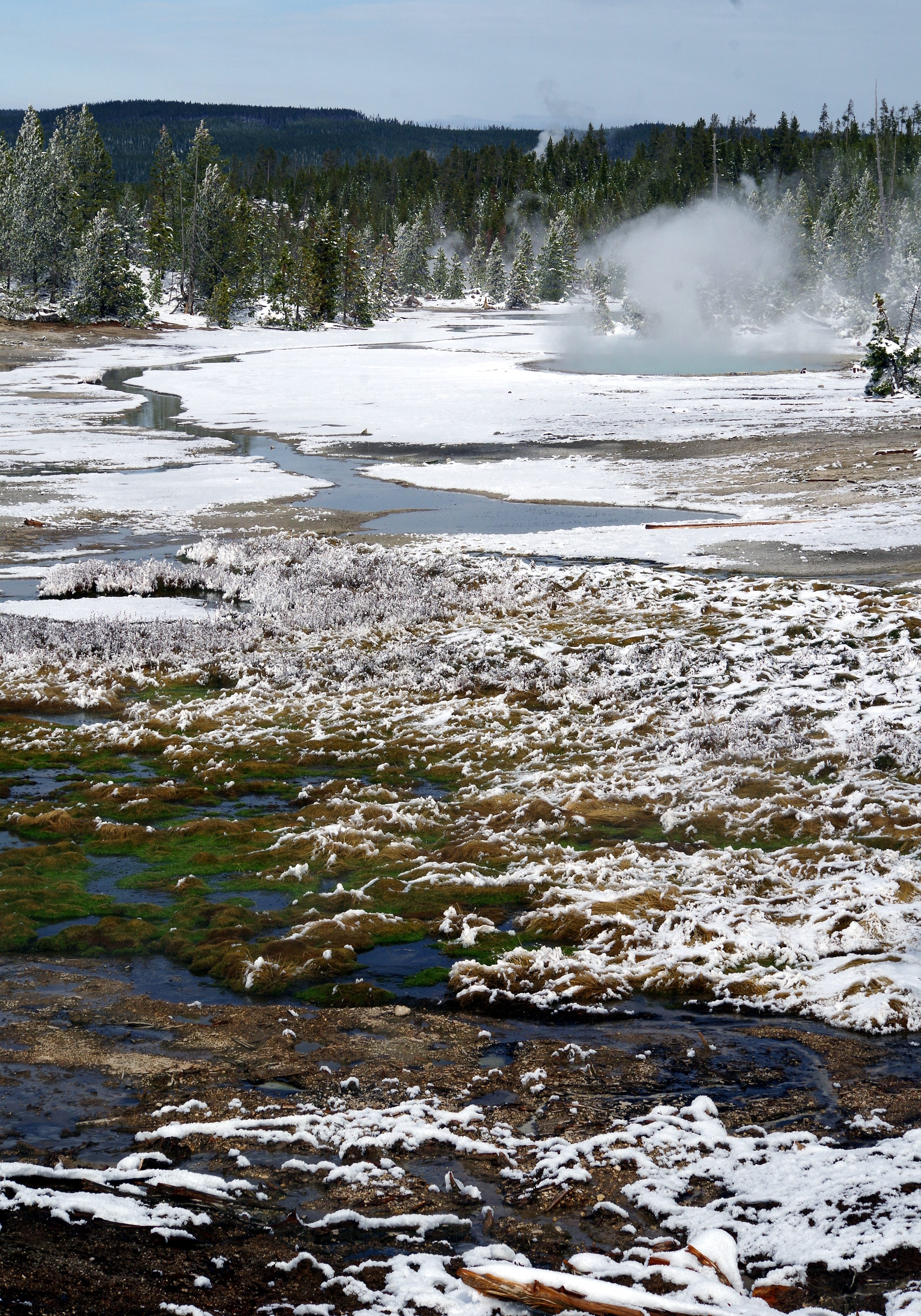 ./NorrisGeyserBasin2_1787482698733